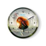 ساعة حائط دائرية بتصميم الأميرة صاحبة القوس والسهم