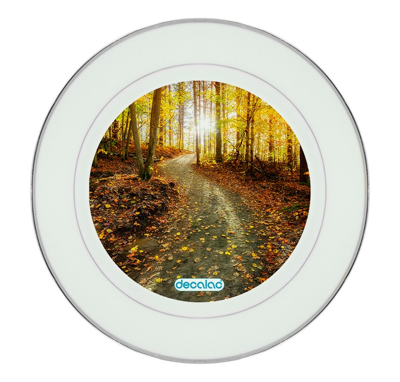 طبق زينة للطعام باطار داخلي فضي بتصميم أوراق الخريف طبق زينة للطعام باطار داخلي فضي بتصميم أوراق الخريف