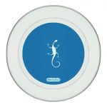 طبق زينة للطعام باطار داخلي فضي بتصميم سحليه