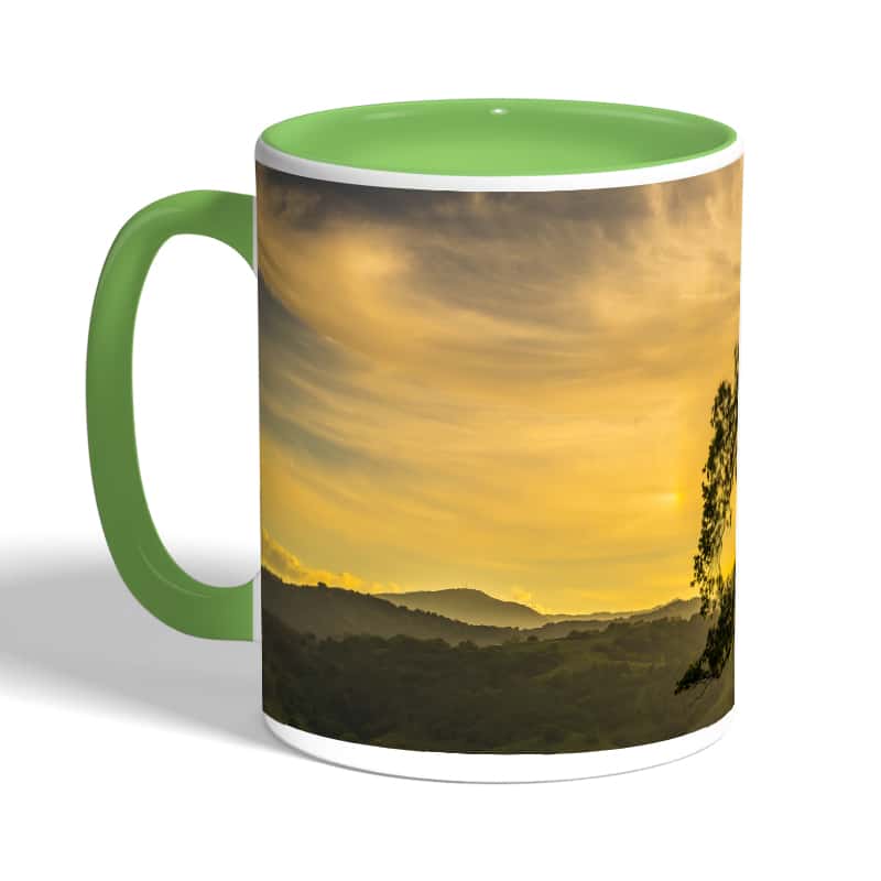 كوب-قهوة-بمقبض-اخضر-بتصميم-شجره-الغروب-2