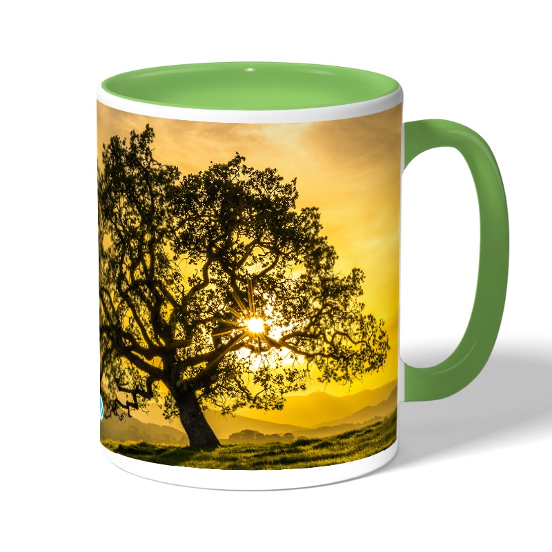 كوب قهوة بمقبض اخضر بتصميم شجره الغروب كوب قهوة بمقبض اخضر بتصميم شجره الغروب