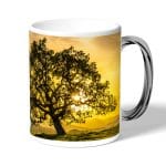 كوب قهوة بمقبض فضي بتصميم شجره الغروب