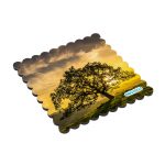 لبادة كوب الشاي او القهوة بتصميم شجره الغروب