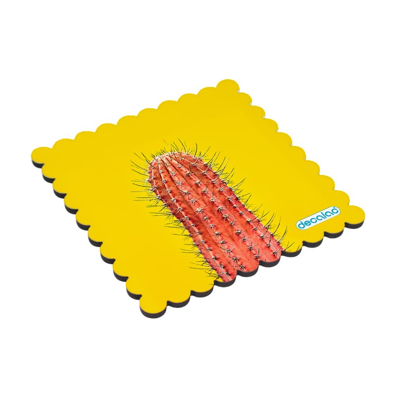 لبادة كوب الشاي او القهوة بتصميم صبار لبادة كوب الشاي او القهوة بتصميم صبار