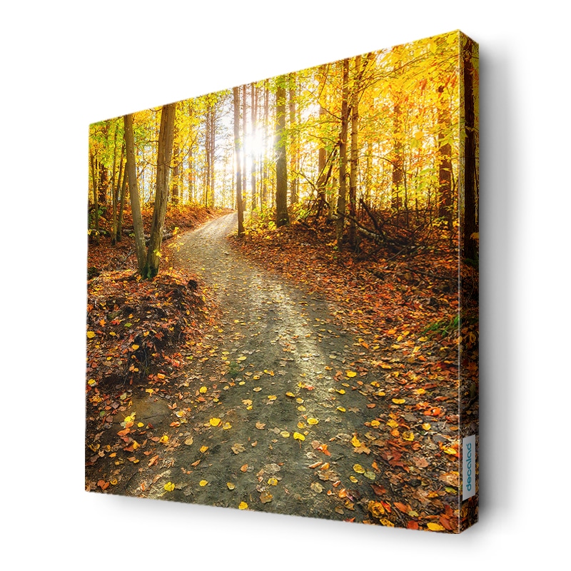 لوحة جدارية قماش كانفس باطار خشبي داخلي بتصميم أوراق الخريف لوحة جدارية قماش كانفس باطار خشبي داخلي بتصميم أوراق الخريف