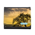 محفظة جلد  بتصميم شجره الغروب محفظة جلد  بتصميم شجره الغروب