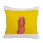 مخدة مع الحشوة بتصميم صبار